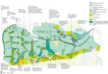 Conservation Management Plan