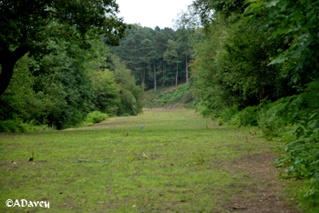 Recent history A3 Hindhead