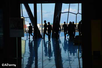 Harpa Building