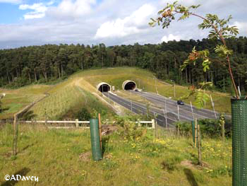 Hindhead Tunnel