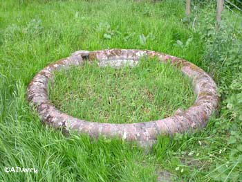 Firle Park