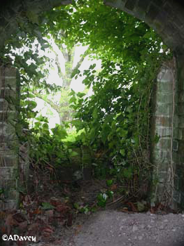 Ice House entrance, Firle Park