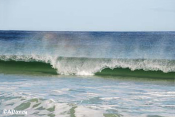 Surf Bay, Stanley