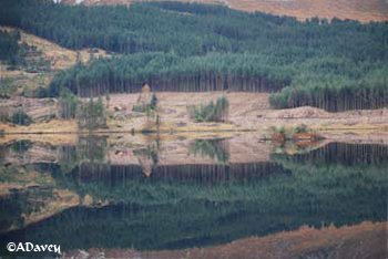 Connemara