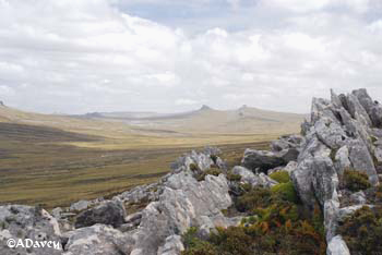 from Wireless Ridge, Falklands