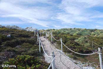 Falkland path