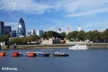 View from the South Bank