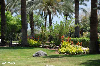 Church of the Beatitudes