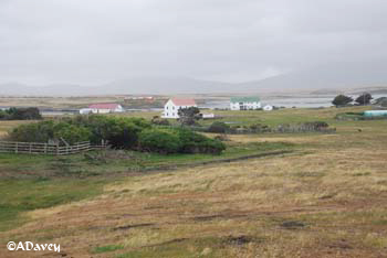 Darwin, Falkland Islands