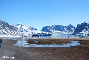 Magdalena Bay