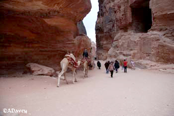 Petra